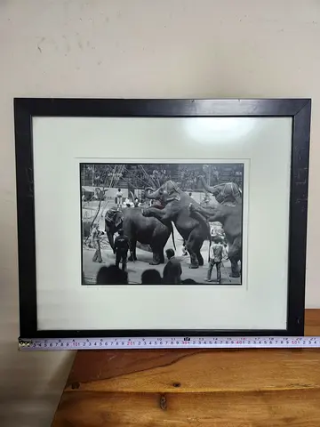 Abe Frajndlich – "Dancing Elephants, NYC" (1979) Original Vintage Photograph