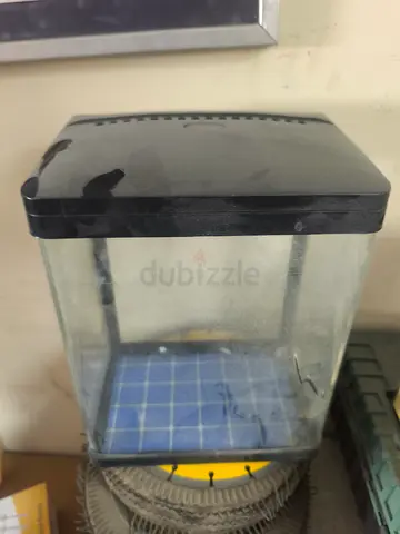 Small Glass Aquarium with Black Lid