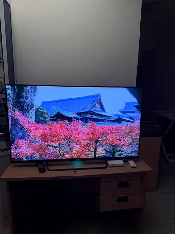 Sony Bravia w80c 55 inch Television and Denon AVR-1312
