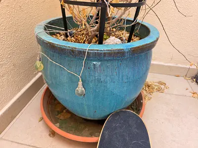 Large blue plant pot