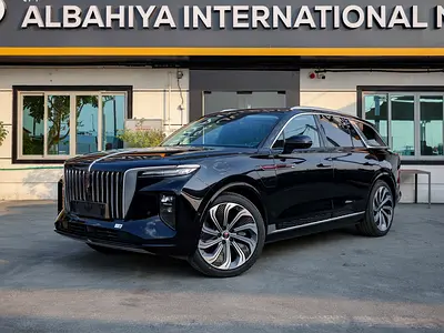 Hongqi E-HS9 Flagship  VIP SEATS European Spece