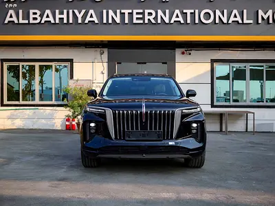 Hongqi E-HS9 Flagship VIP SEATS European Spece