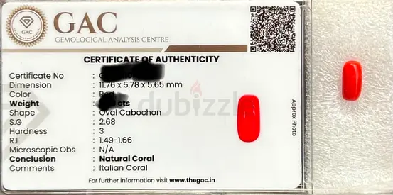 Natural Italian Coral with GAC Certificate - 11.76 x 5.78 x 5.65 mm