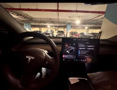 2024 Tesla MODEL Y 缩略图 3