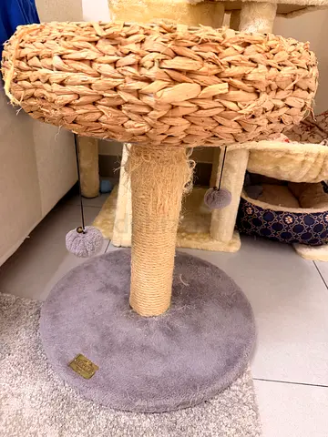 Cats scratcher