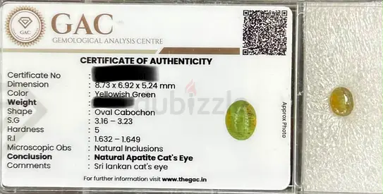 Natural Yellowish-Green Sri Lankan Apatite Cat's Eye with GAC Certificate