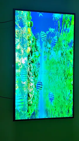 Sony 55 inch Smart  TV  a some line in the bottom of tv
