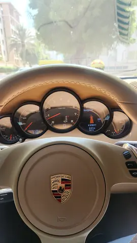 2014 Porsche CAYENNE 缩略图 15