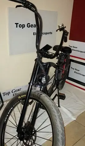 Electric cruiser-style bike custom made. 750 Middle Bafang motor.