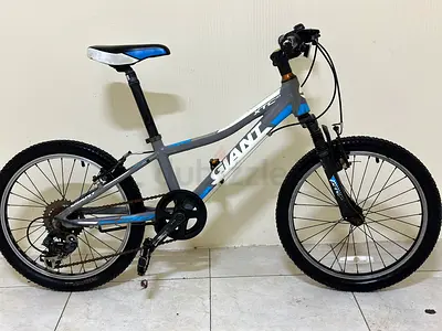 GIANT XTC child bike
