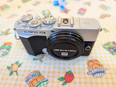 Olympus PEN E-P7 + 25mm f/1.8 + 45mm f/1.8