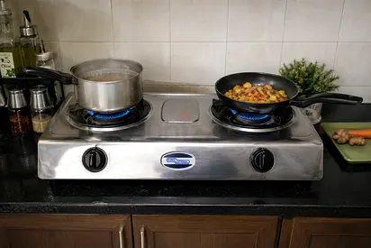 2-Burner Stainless Steel Gas Stove - Countertop