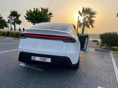 2025 Tesla MODEL Y 缩略图 5