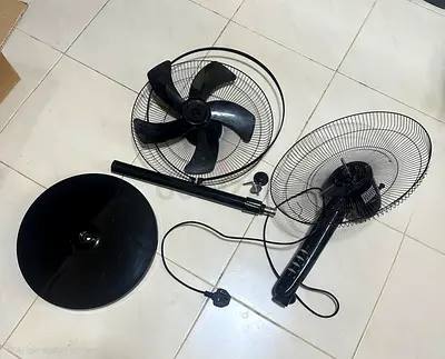 Fan