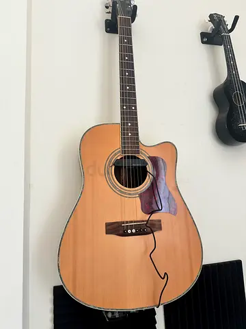 Alston Acoustic guitar Solid Spruce Top