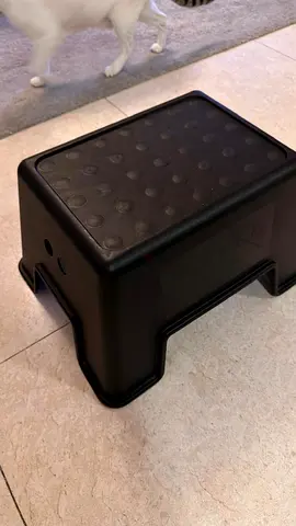 Sturdy Black Plastic Step Stool - Compact and Lightweight