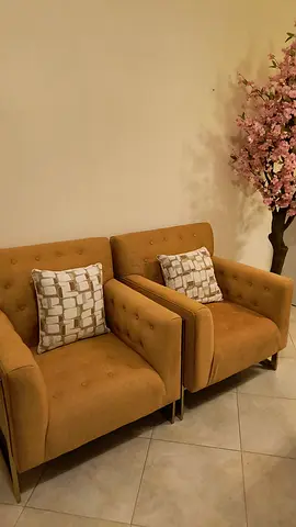 Elegant Armchairs