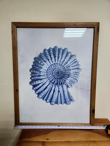 Set of 2 Premium Coastal Framed Wall Art (Blue Coral & Ammonite) - Creative Co-Op