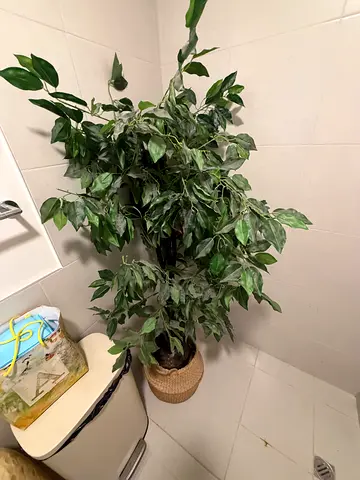 Large Artificial Potted Plant in Woven Basket