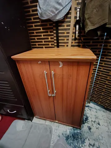 URGENT: MOVING OUT SALE- Wooden storage cabinet with double doors