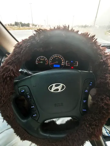 2008 Hyundai SANTA FE 照片 7