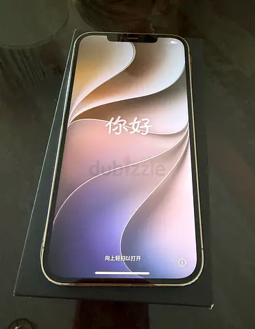 IPHONE 12 PRO MAX