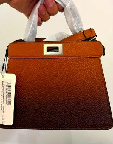Fendi Peekaboo Iseeu Bag