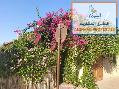 اجمل بيت عربي للبيع في منطقه البستان
