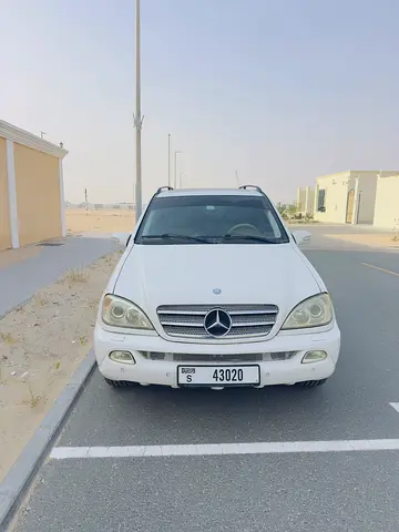 2003 Mercedes-BENZ M-CLASS photo 2
