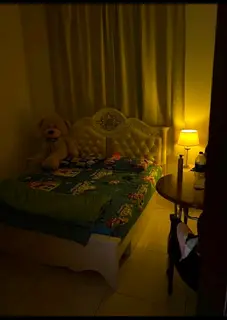 Fully Furnished Master Bedroom