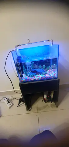 Complete Home Aquarium with Stand and LED Light - Ready to Use