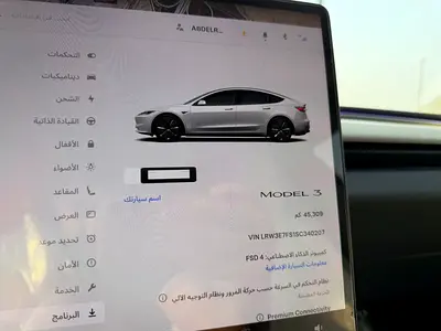 2025 Tesla MODEL 3 — миниатюра 11