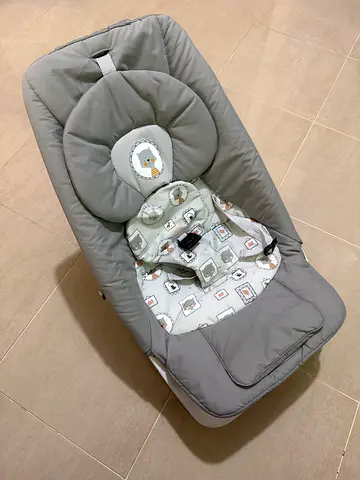 Baby Bouncer/Rocker
