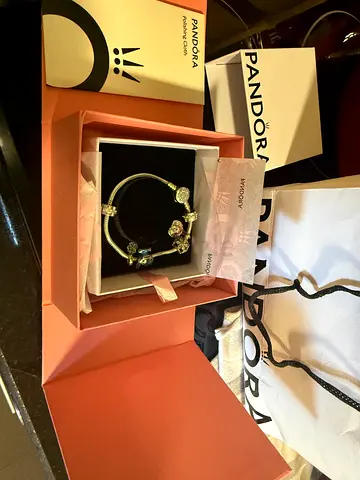 Pandora bracelet with charms