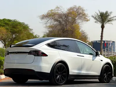 2023 Tesla MODEL X — фото 8