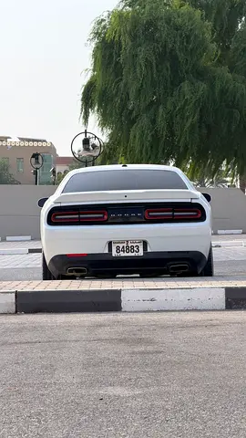 2019 Dodge CHALLENGER 照片 4