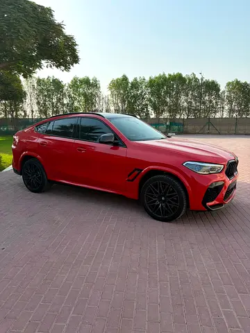 صورة 4 لـ 2022 BMW X6