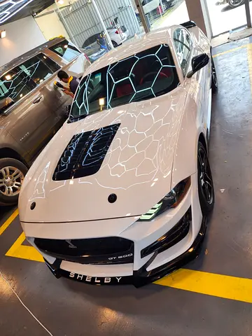 2022 FORD MUSTANG 照片 2