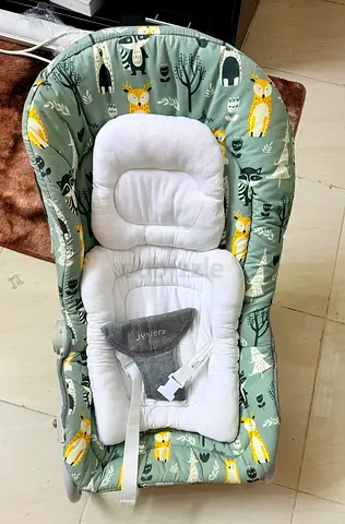 Baby rocker juniors