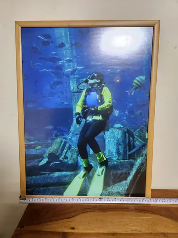 Underwater Scuba Diving Framed Wall Art – 50x70 cm