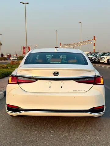 2025 Lexus ES-SERIES 缩略图 18