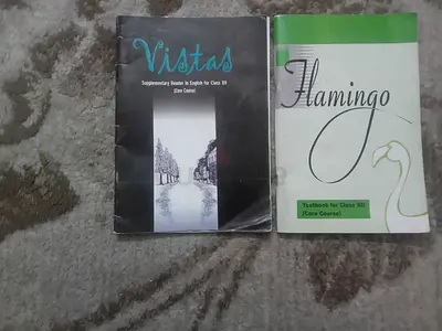 Set of 2 English Class XII Textbooks: Vistas & Flamingo (used)