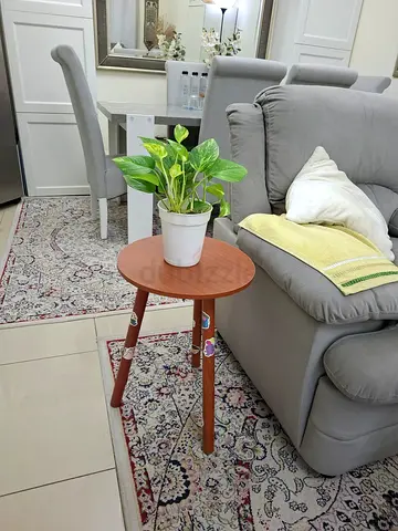 Small round wooden side table with plant — Gently used