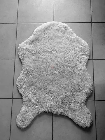 rug