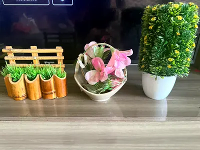 Set of 3 Small Decorative Faux Plants for Shelf or TV Unit