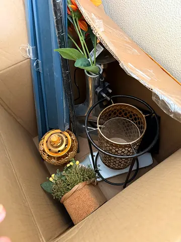 Free house hold stuff