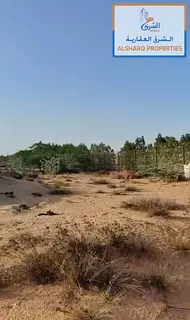 A prime investment opportunity for rent in Umm Al Quwain – a ready-to-use farm