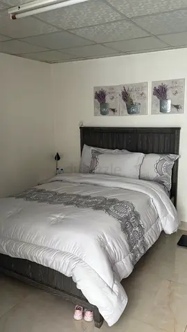 Queen bed with mattress