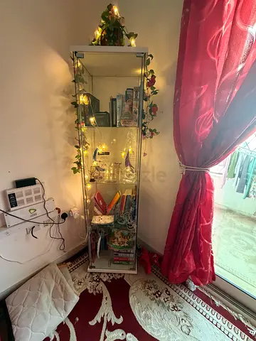 Glass Display Cabinet with Mirrored Back and Shelves - Good Condition