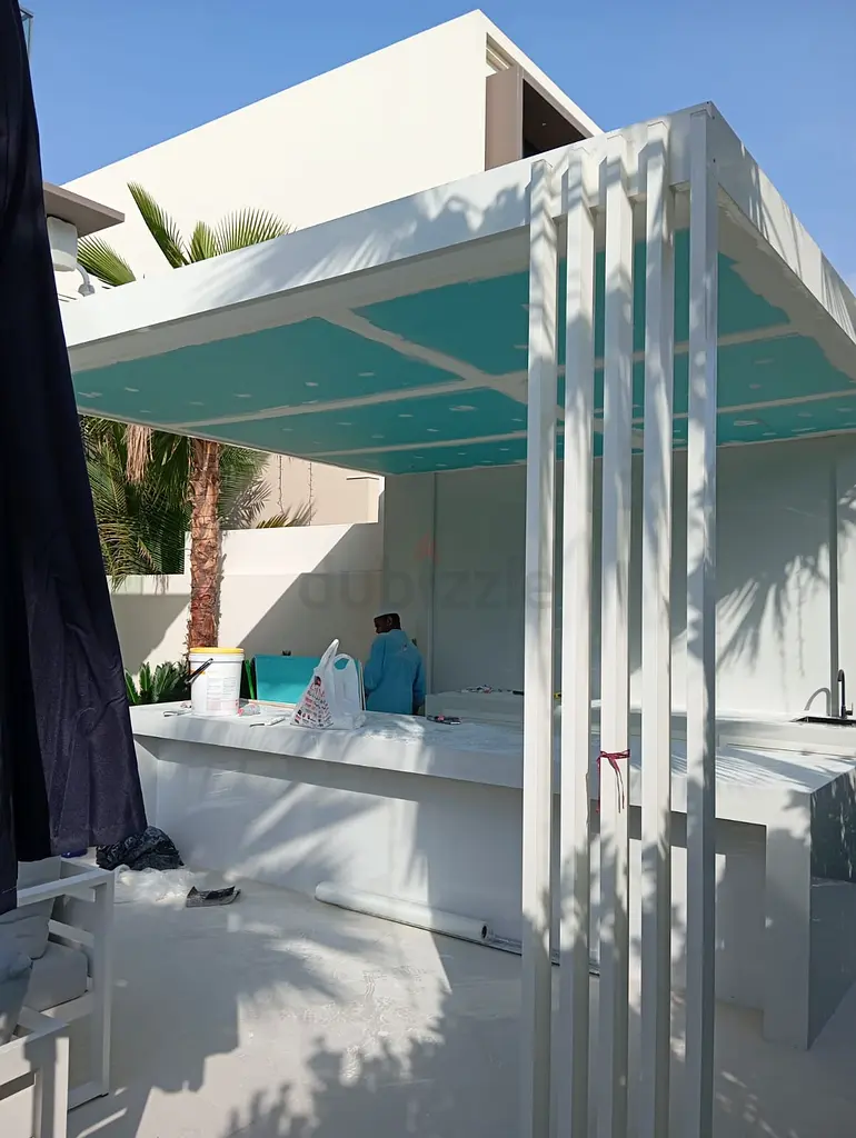 DPV_View_Image_2
